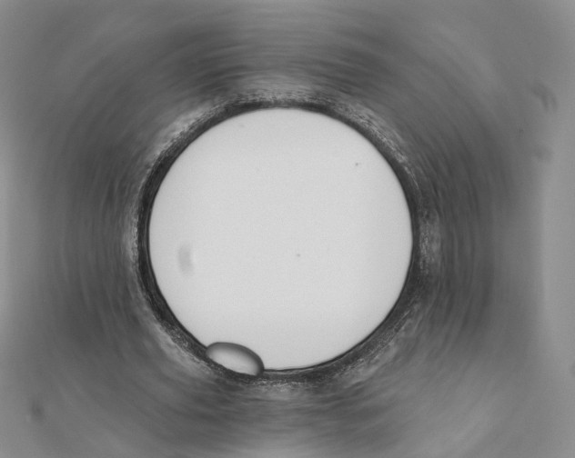X0000112060629200909011003