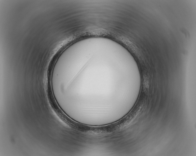 X0000112060630200909011003