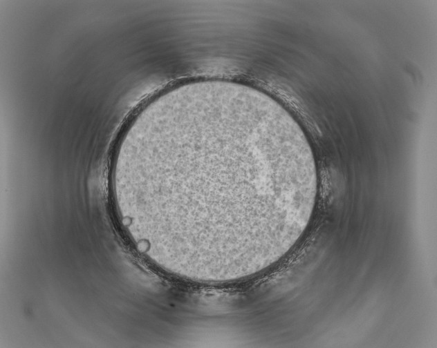 X0000112060632200909011003