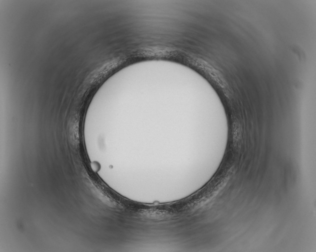 X0000112060633200909011003