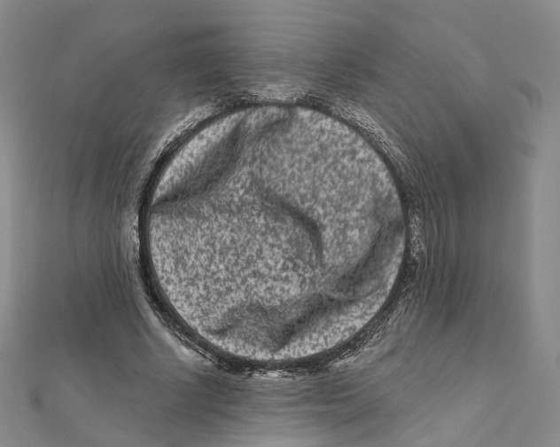 X0000112060634200909011003
