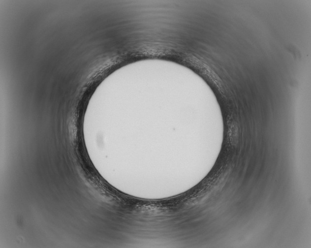 X0000112060635200909011003