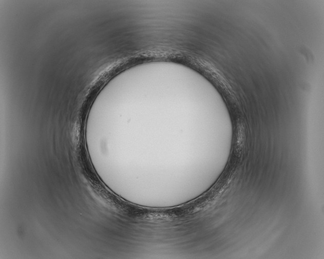 X0000112060636200909011003