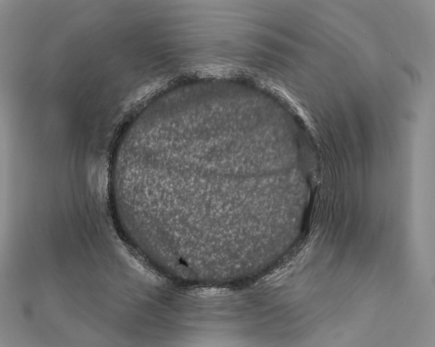 X0000112060637200909011003