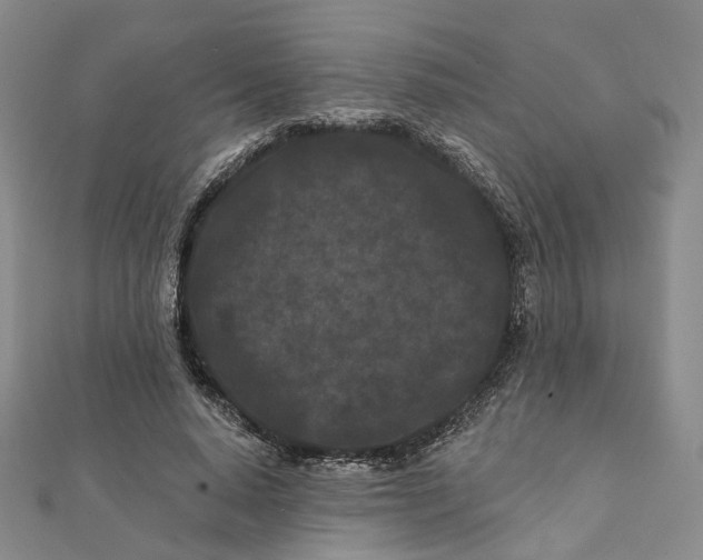 X0000112060640200909011003
