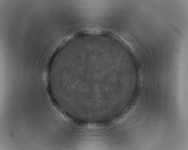 X0000112060641200909011003
