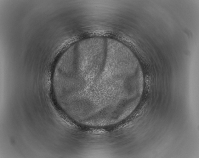 X0000112060642200909011003
