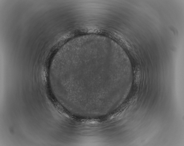 X0000112060643200909011003