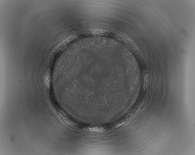 X0000112060644200909011003