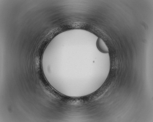 X0000112060646200909011003