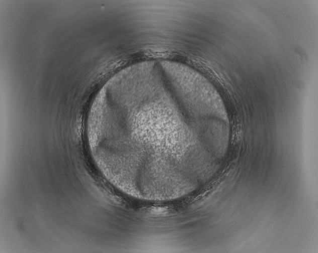 X0000112060647200909011003