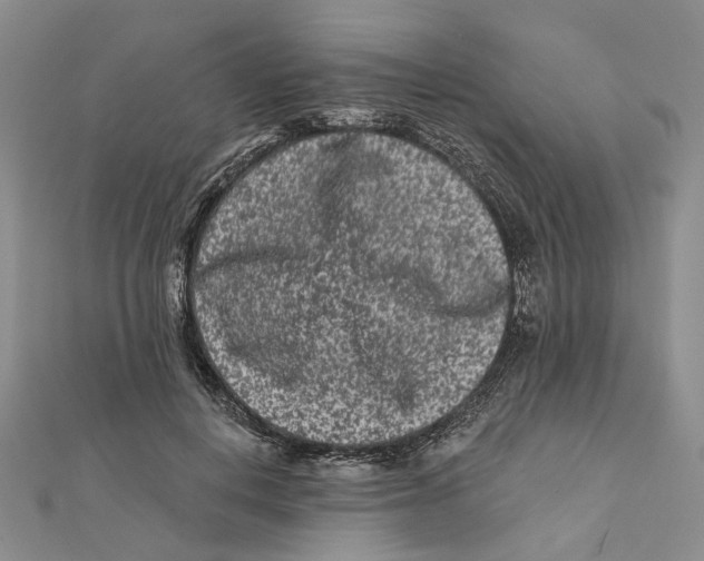 X0000112060648200909011003