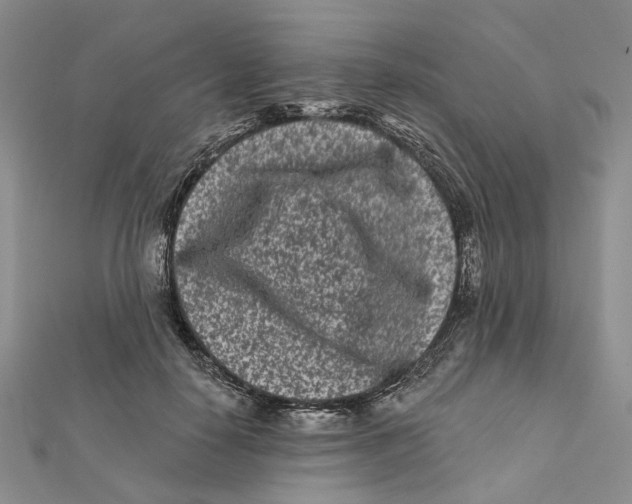 X0000112060650200909011003