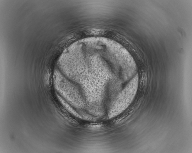 X0000112060651200909011003