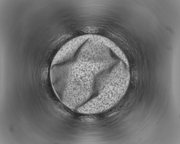 X0000112060652200909011003