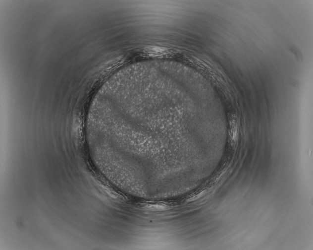X0000112060653200909011003