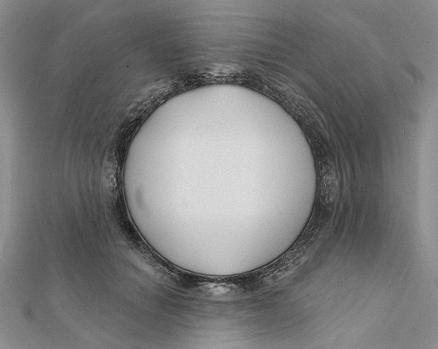 X0000112060654200909011003