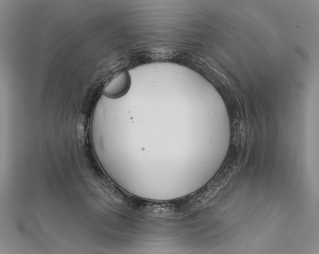 X0000112060655200909011003