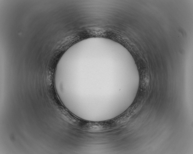 X0000112060658200909011003