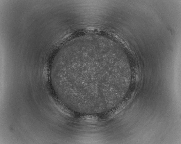 X0000112060659200909011003