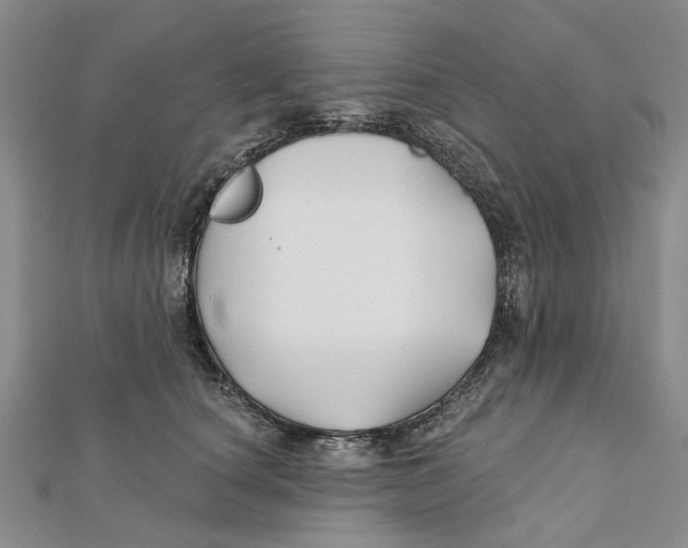 X0000112060660200909011003