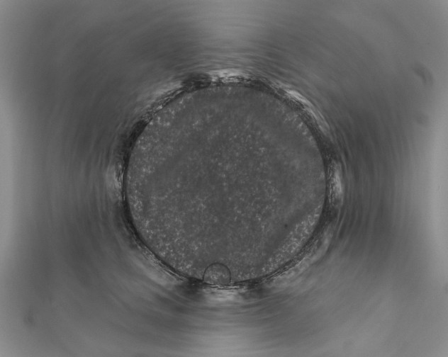 X0000112060661200909011003