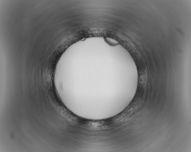 X0000112060662200909011003