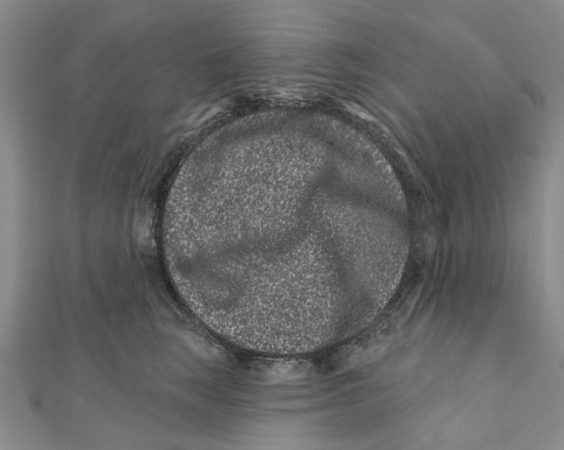 X0000112060663200909011003