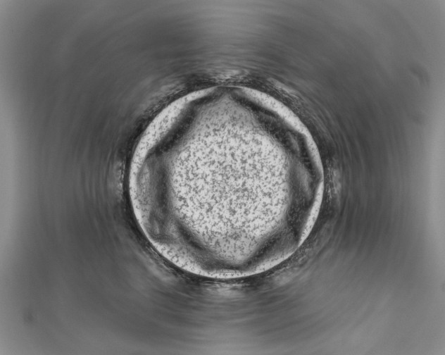X0000112060664200909011003