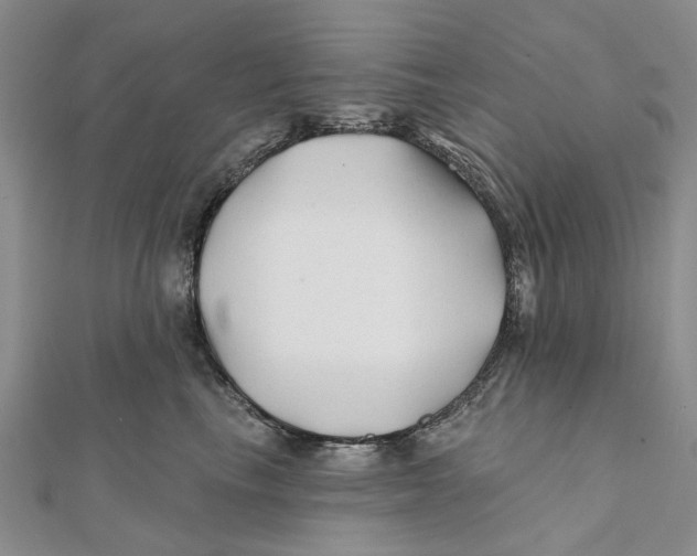 X0000112060665200909011003