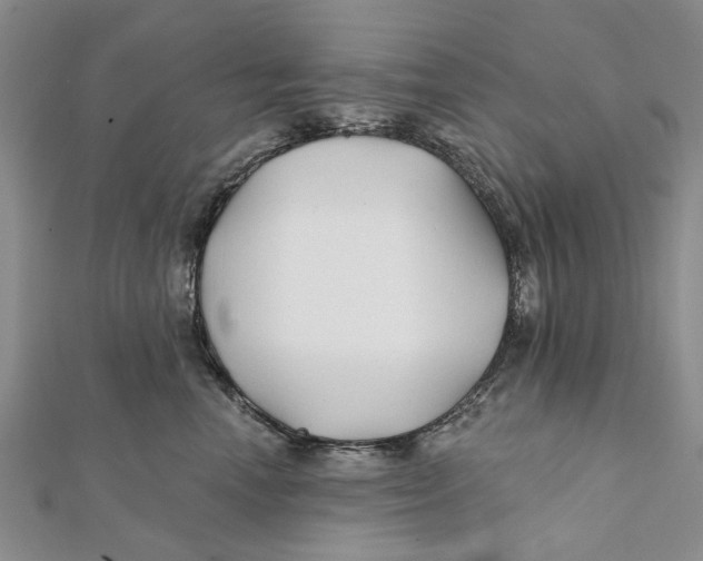 X0000112060666200909011003