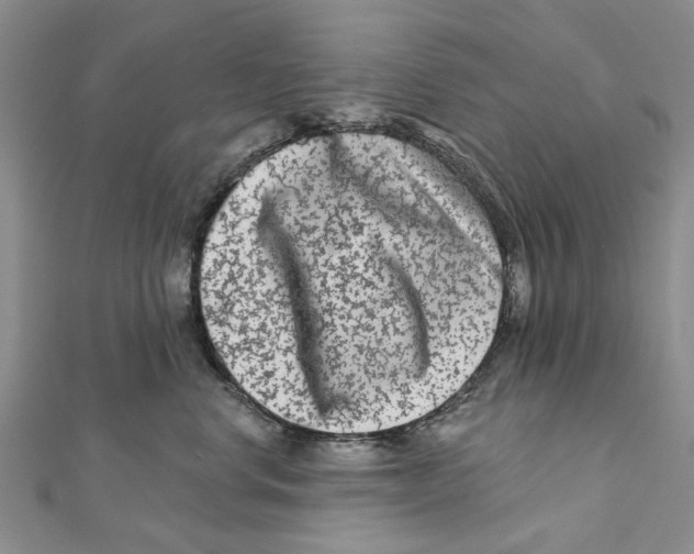 X0000112060668200909011003