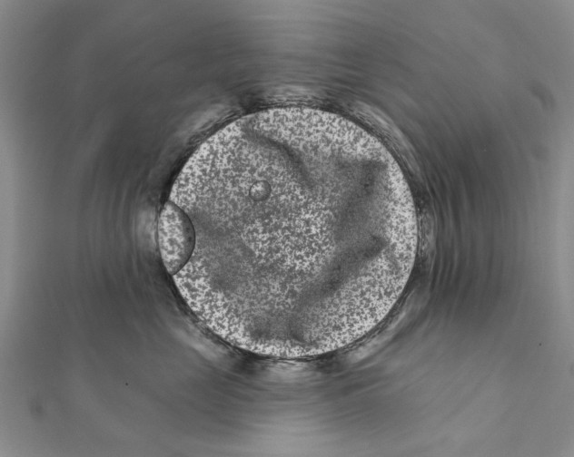 X0000112060669200909011003