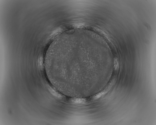 X0000112060670200909011003