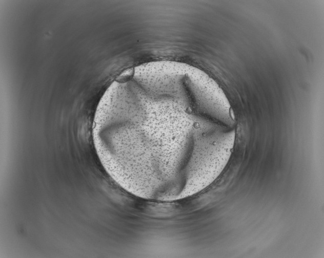 X0000112060671200909011003