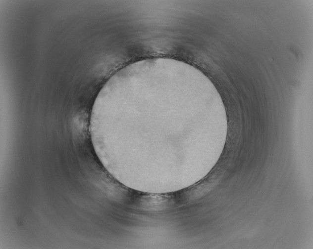 X0000112060672200909011003