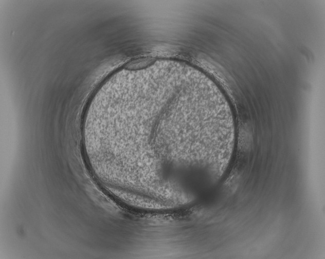 X0000112060673200909011003