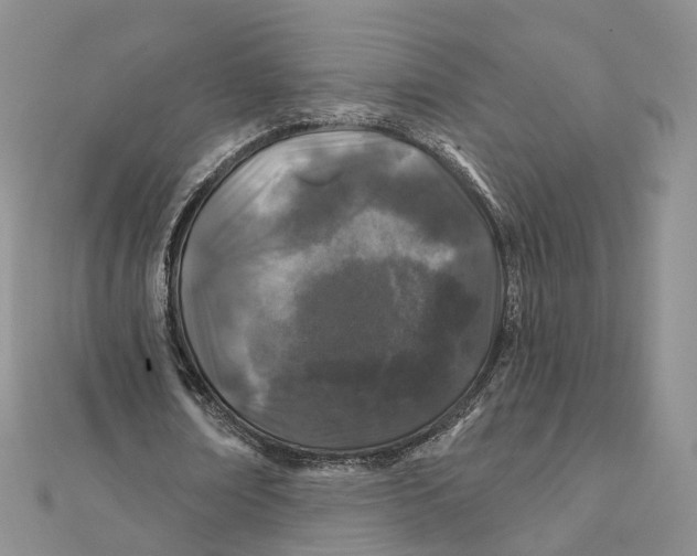 X0000112060674200909011003