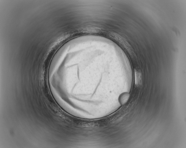 X0000112060675200909011003