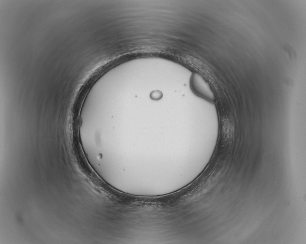X0000112060676200909011003