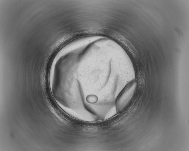 X0000112060677200909011003