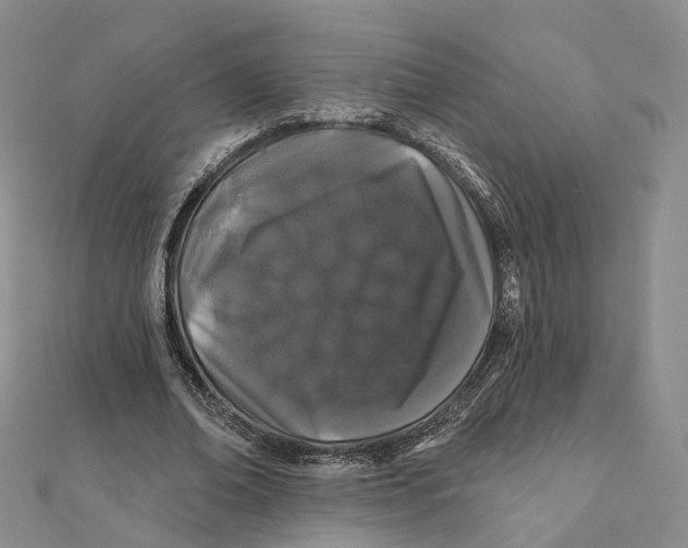 X0000112060678200909011003