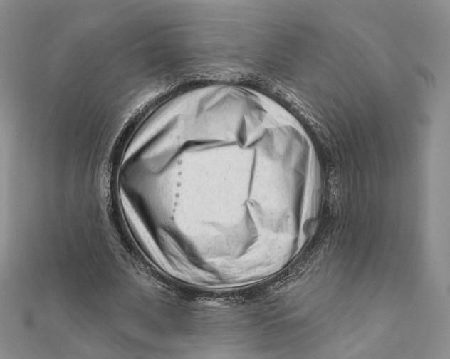 X0000112060679200909011003