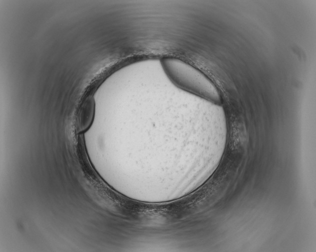 X0000112060680200909011003