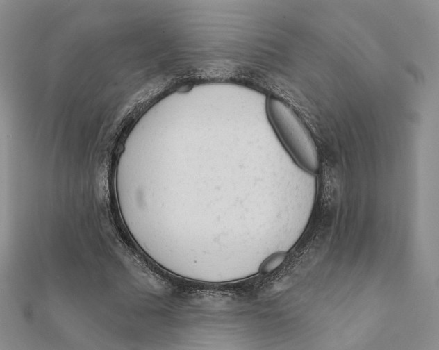X0000112060681200909011003