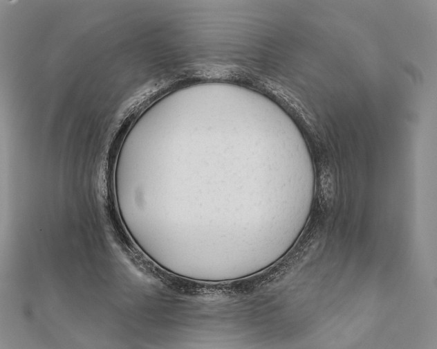 X0000112060682200909011003