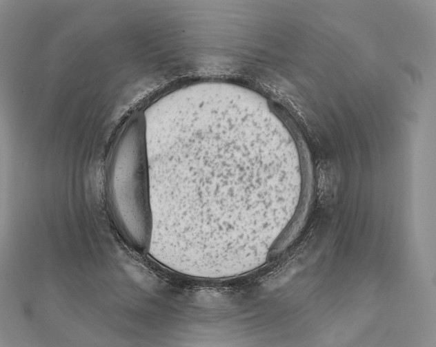 X0000112060684200909011003