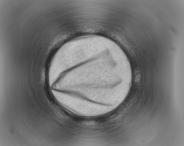 X0000112060685200909011003