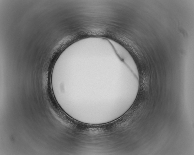 X0000112060686200909011003