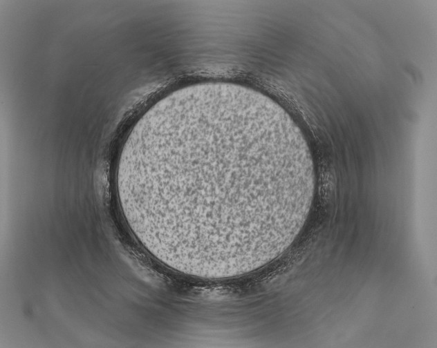 X0000112060688200909011003